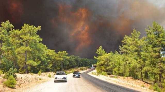 Спасатели в Турции смогли взять под контроль более 100 лесных пожаров