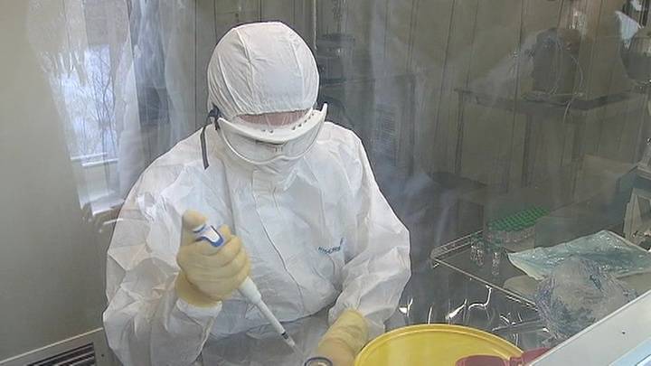 Ученые: исчезновение коронавирусов маловероятно