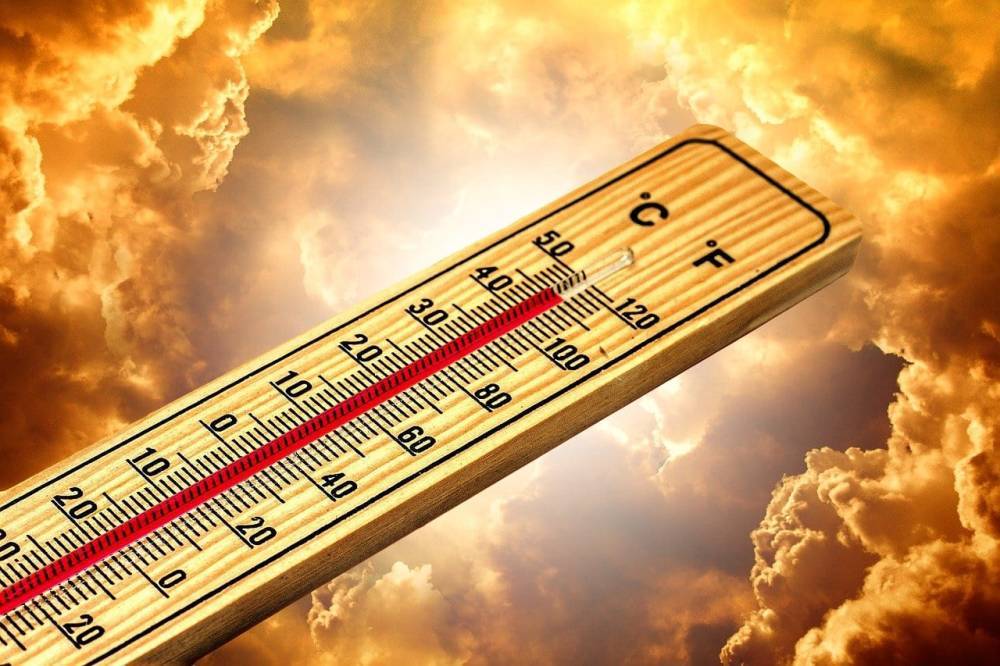 В понедельник в Рязанской области ожидается до +34 градусов