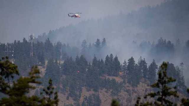 Провинция – в дыму: на западе Канады вспыхнули масштабные лесные пожары