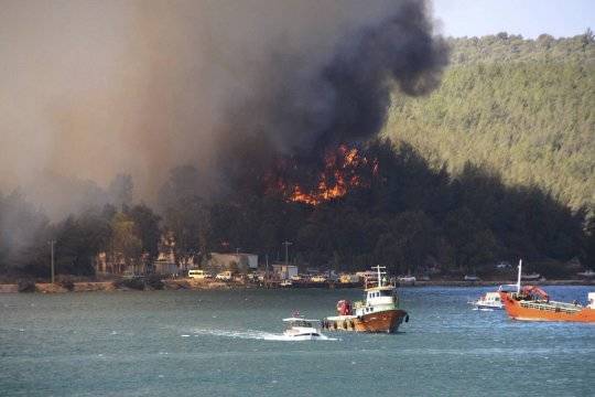 СМИ: ответственность за поджоги лесов в Турции взяла на себя группировка «Дети огня»