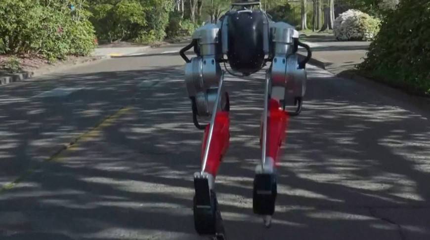 Робот-легкоатлет: двуногий механизм пробежал пять километров