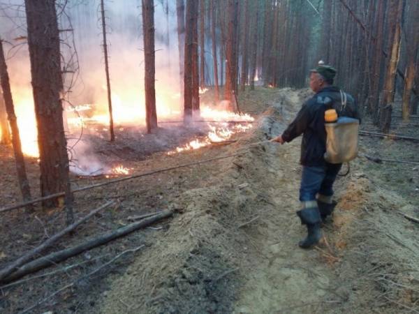 В Якутии за сутки обнаружили десятки новых лесных пожаров