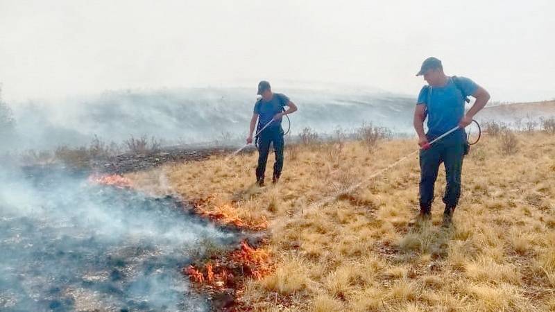 В Башкирии действуют 27 лесных пожаров
