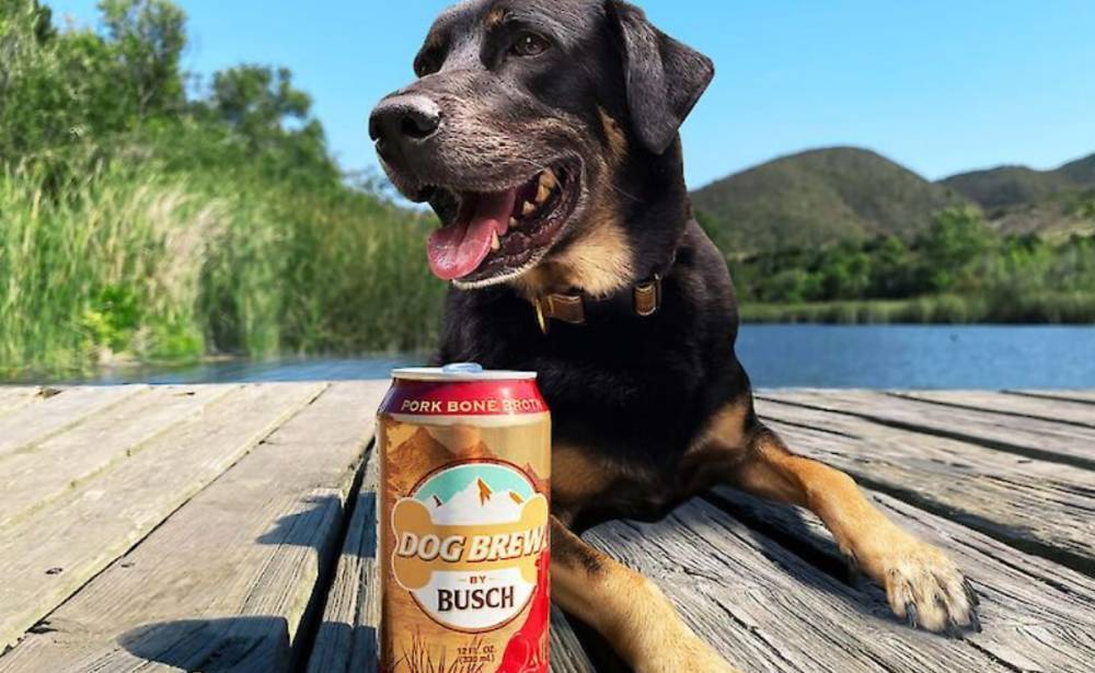 В США выпустили пиво для собак: товар смели с полок магазинов