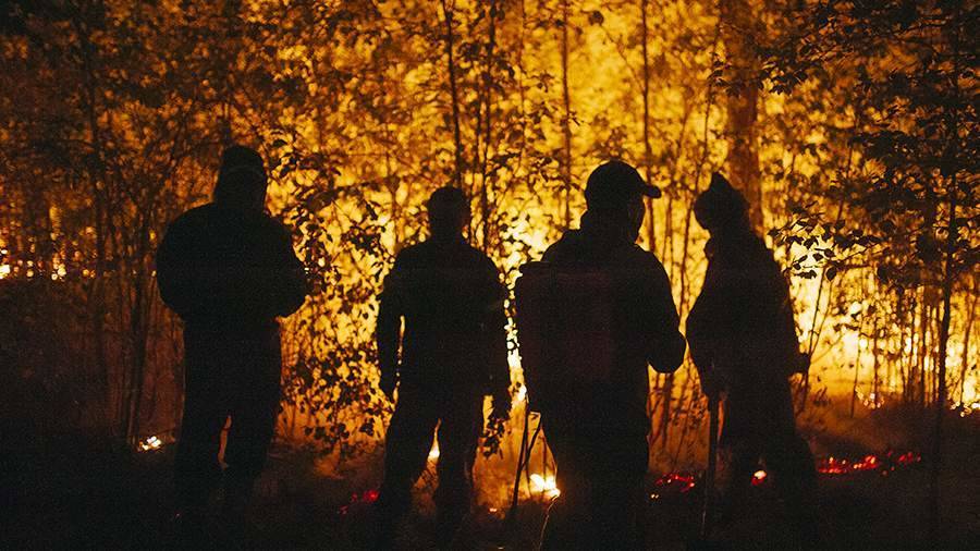 Глава Минприроды назвал напряженной ситуацию с лесными пожарами в РФ