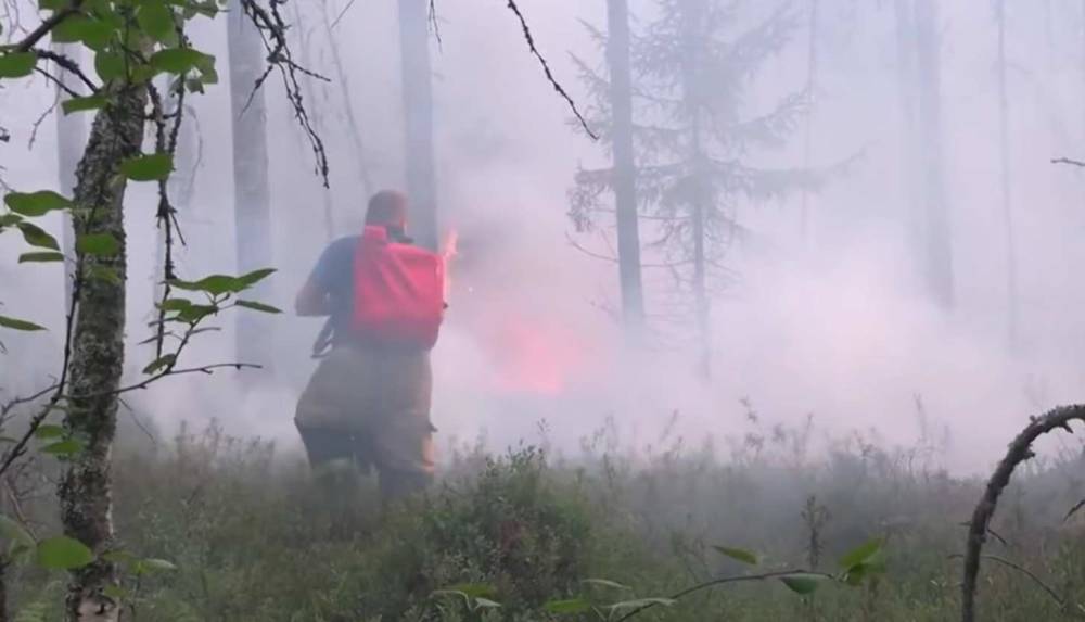 Пульмонологи: Пожары в Якутии могут обернуться катастрофой для больных COVID-19