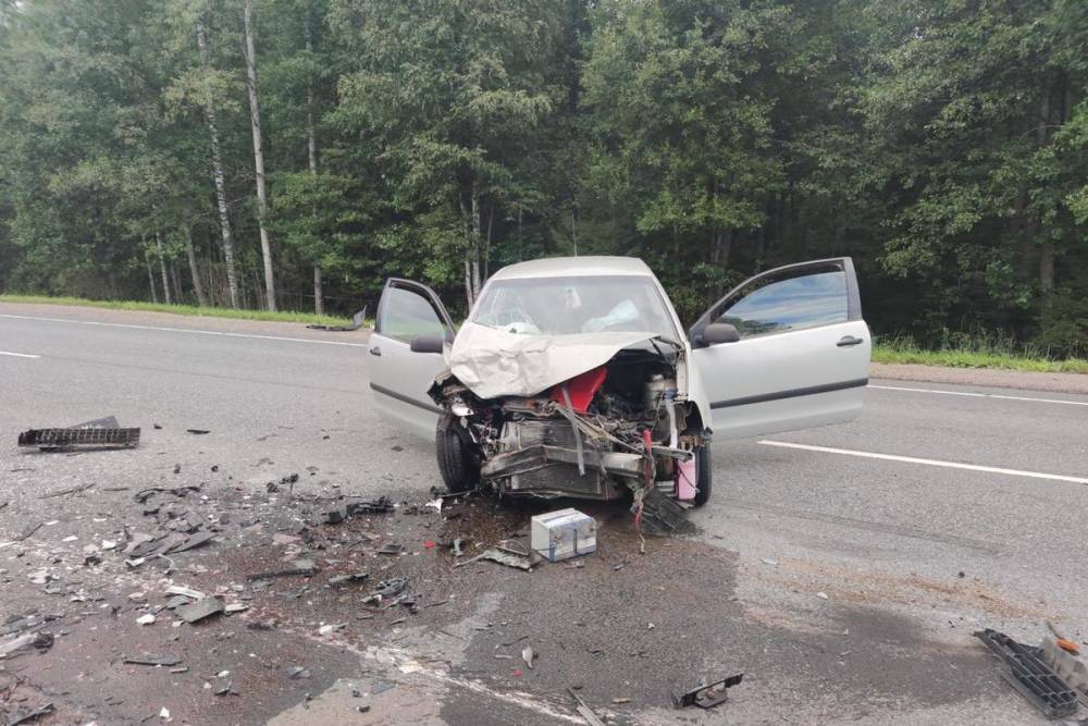Подросток получила повреждения в дорожной аварии в Плюсском районе