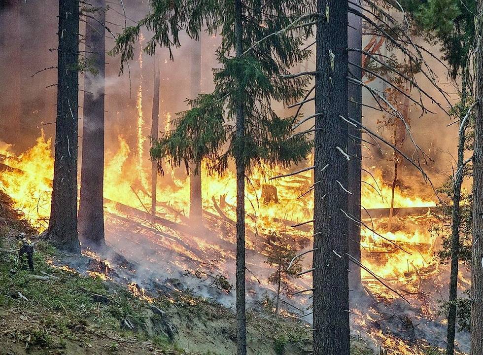 Лесные пожары в Якутии признали самыми масштабными на планете