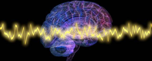 Российские ученые предложили новый способ изучения заболеваний мозга