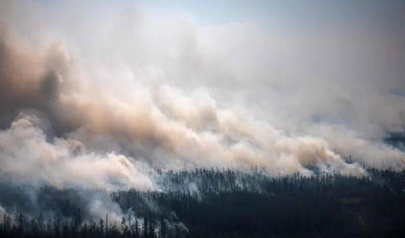 NASA: дым от сибирских лесных пожаров впервые в истории дошел до Северного полюса