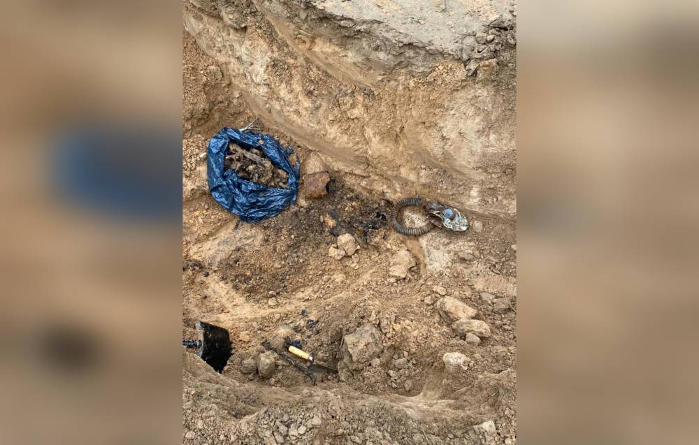Житель Тверской области нашел человеческие останки на своем участке