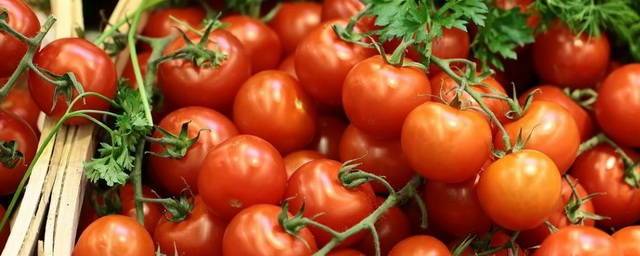 В Приморье урожай помидоров увеличился в два раза
