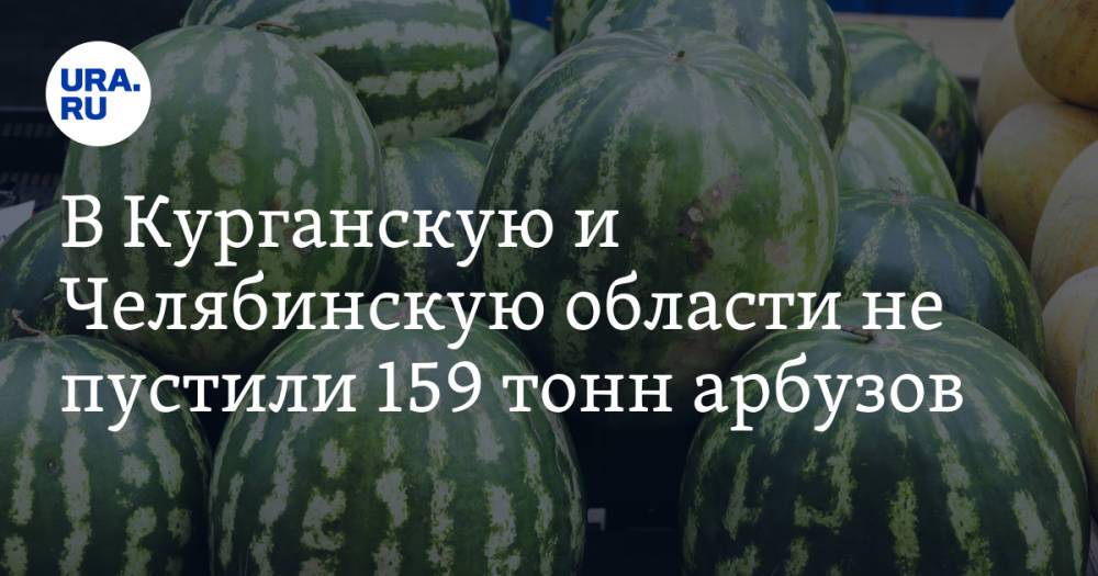 В Курганскую и Челябинскую области не пустили 159 тонн арбузов