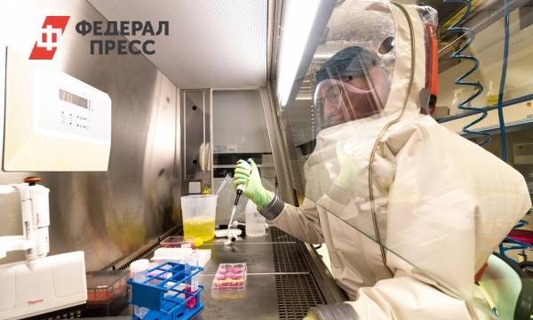 Стоит ли россиянам опасаться эпидемии лихорадки Марбург
