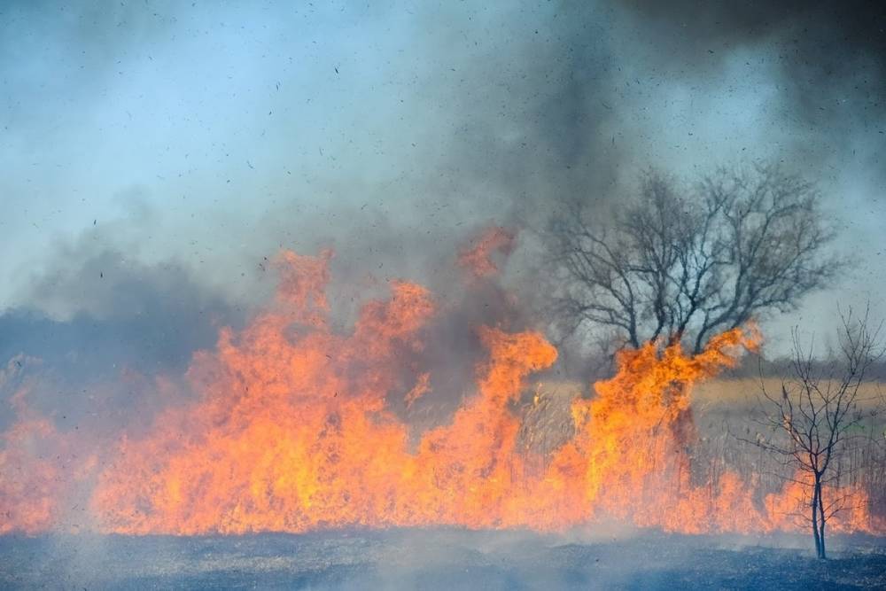 В хуторе Волгоградской области потушили ландшафтный пожар