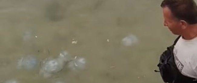 В курортном Геническе «уборщики» сваливали мусор с пляжа прямо в воду: видео