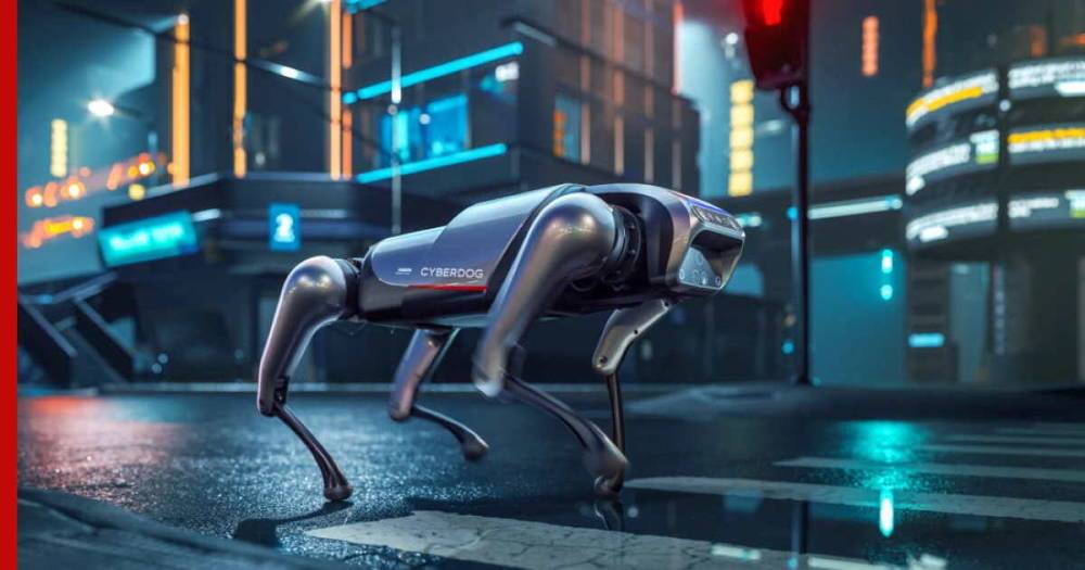 Компания Xiaomi представила робота-собаку собственной разработки