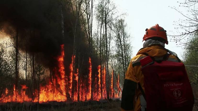 В Якутию прибыла первая группа из 100 спасателей для тушения лесных пожаров