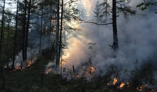 В Красноярском крае за сутки дым от лесных пожаров окутал 944 населённых пункта