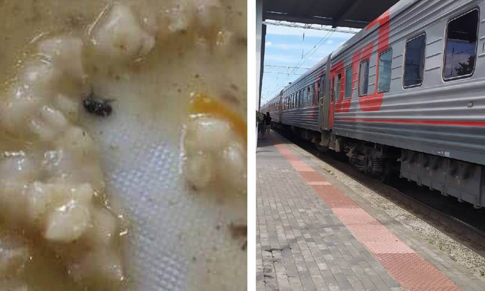 Отравившихся в поезде детей кормили кашей с насекомыми
