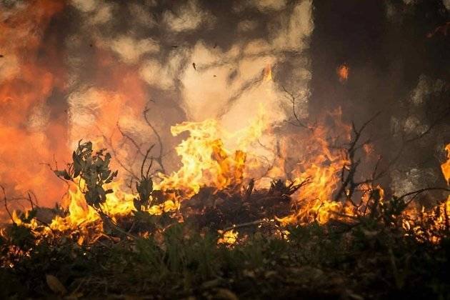 Пожар в Якутии уничтожил лагерь парашютистов Читинской авиабазы Авиалесоохраны