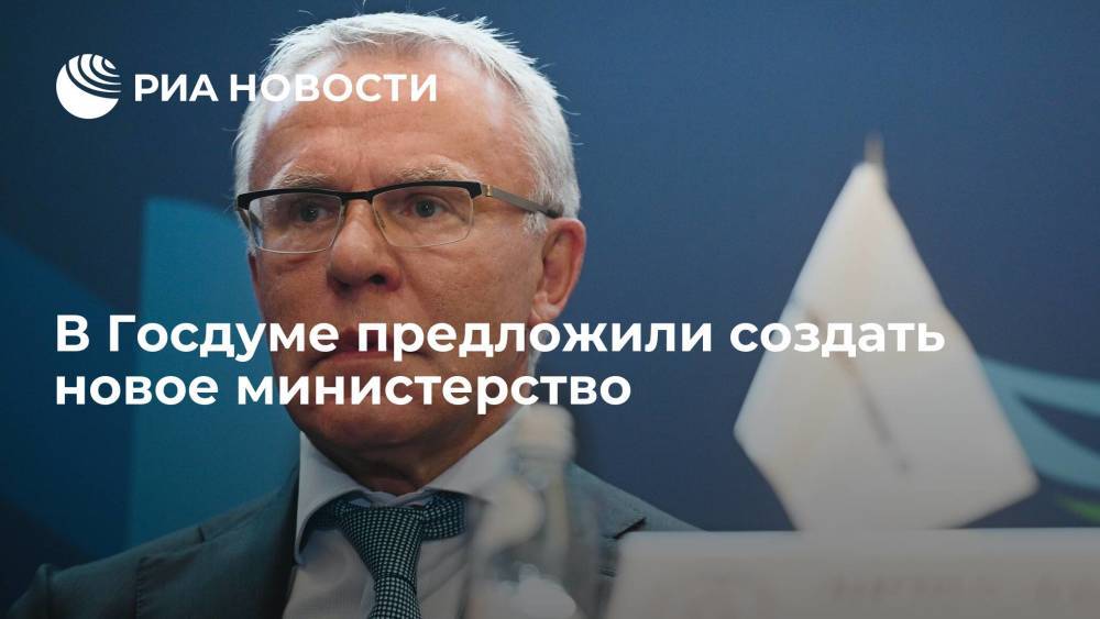 Депутат Госдумы Фетисов предложил создать министерство лесного хозяйства