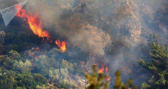 Лесные пожары бушуют в Азербайджане