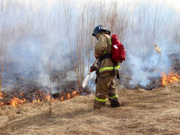 В Лесном попечительском совете объяснили, почему нельзя потушить якутские пожары