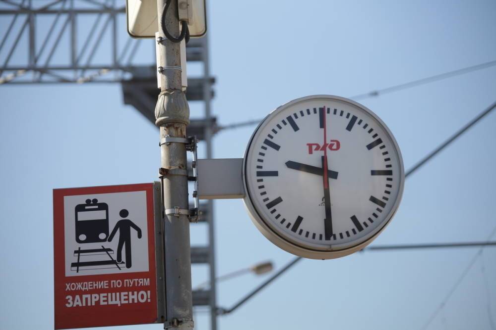 Из Петербурга в Павловск будут ходить дополнительные поезда