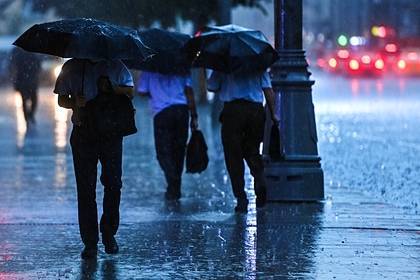 Москвичам предрекли самый дождливый день с начала столетия
