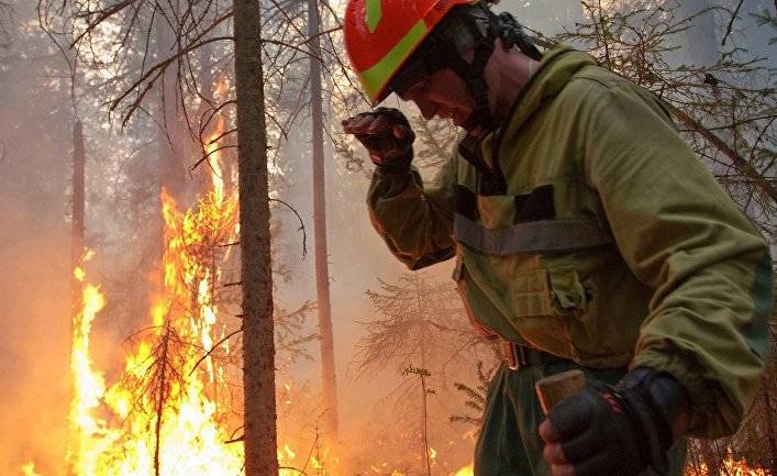 The Washington Post (США): в Сибири горит лесов больше, чем в остальных регионах мира вместе взятых