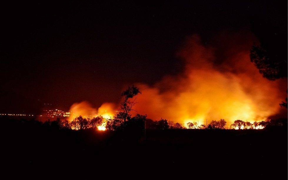 В Алжире в результате масштабных лесных пожаров погибли десятки человек и мира