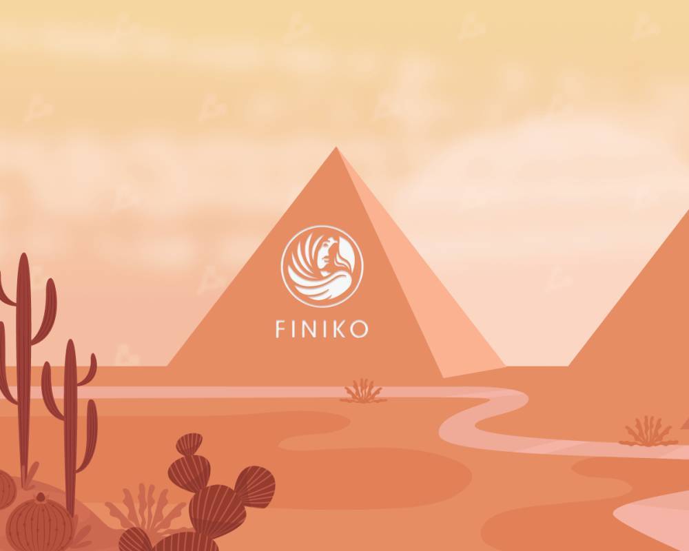 Соучредители финансовой пирамиды «Финико» покинули Россию. Их объявили в розыск