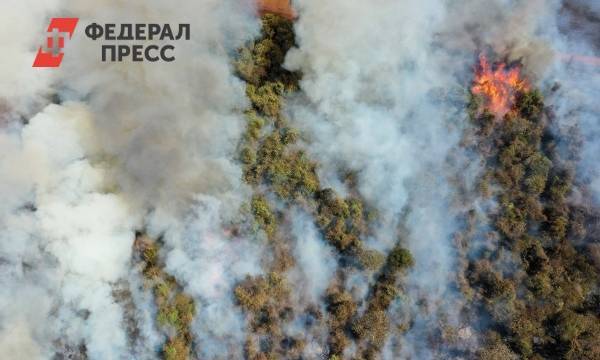В Гидрометцентре назвали причину лесных пожаров в России