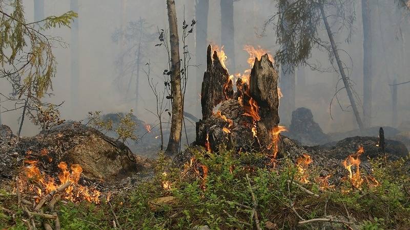 В Башкирии ликвидирован крупный пожар