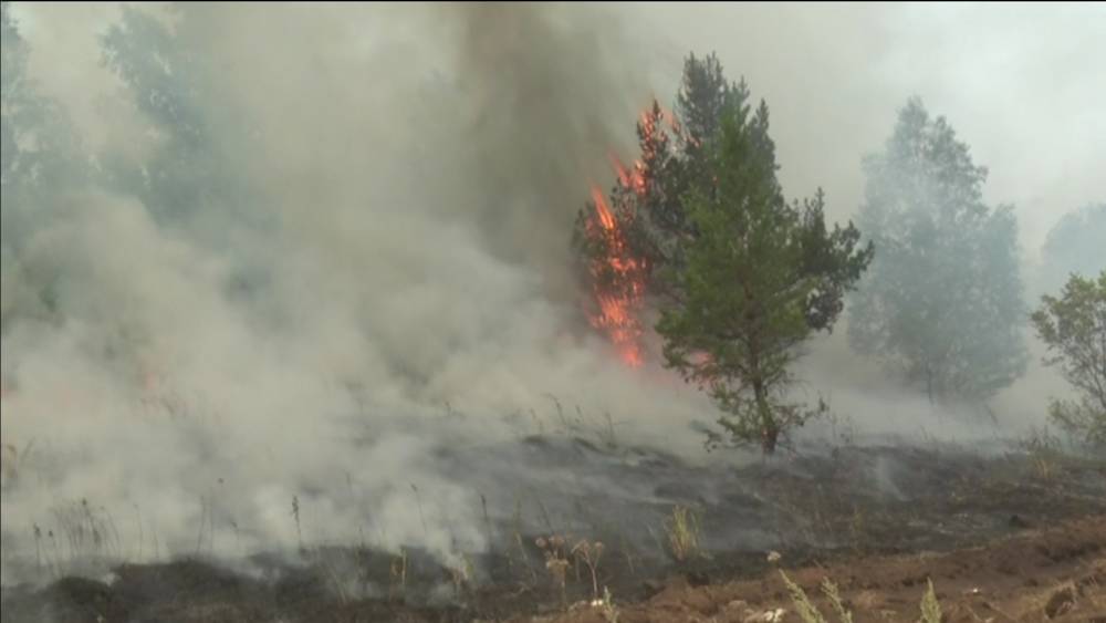 В Башкирии продолжают действовать 17 лесных пожаров