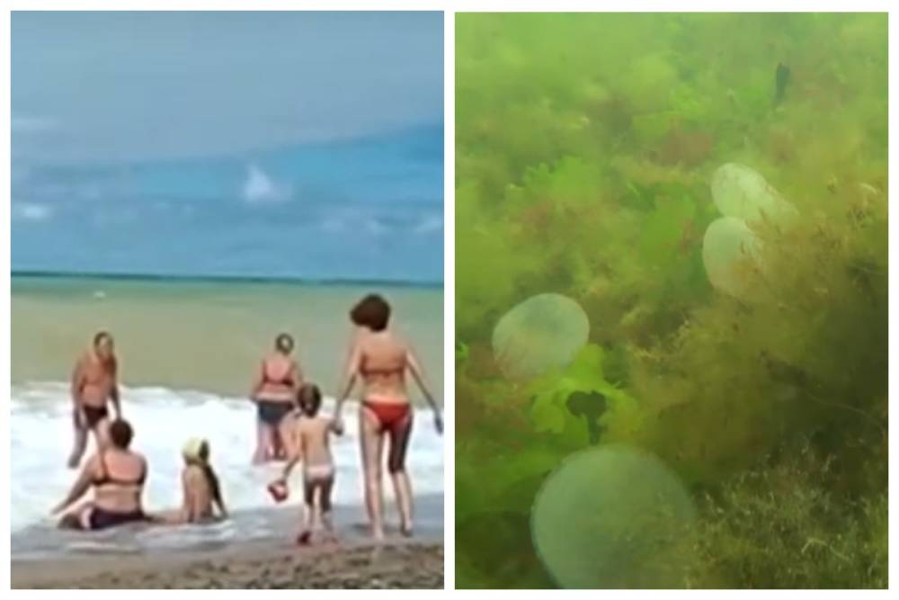 Новая напасть обрушилась на пляжи Одессы, видео: "коконы напоминают ртуть"