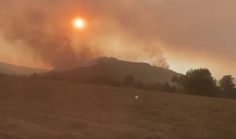 В Башкирии ликвидирован один из крупных лесных пожаров в Хайбуллинском районе