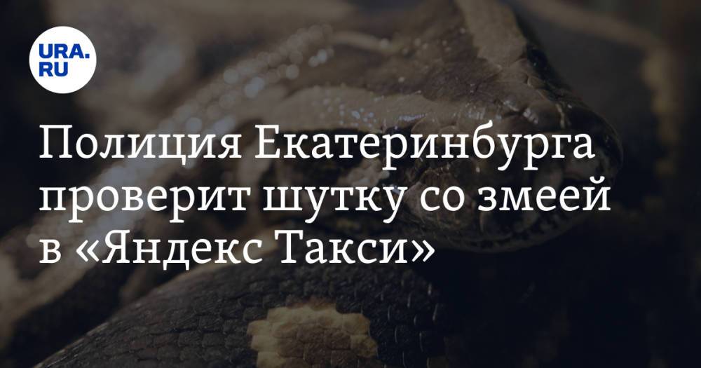 Полиция Екатеринбурга проверит шутку со змеей в «Яндекс Такси»