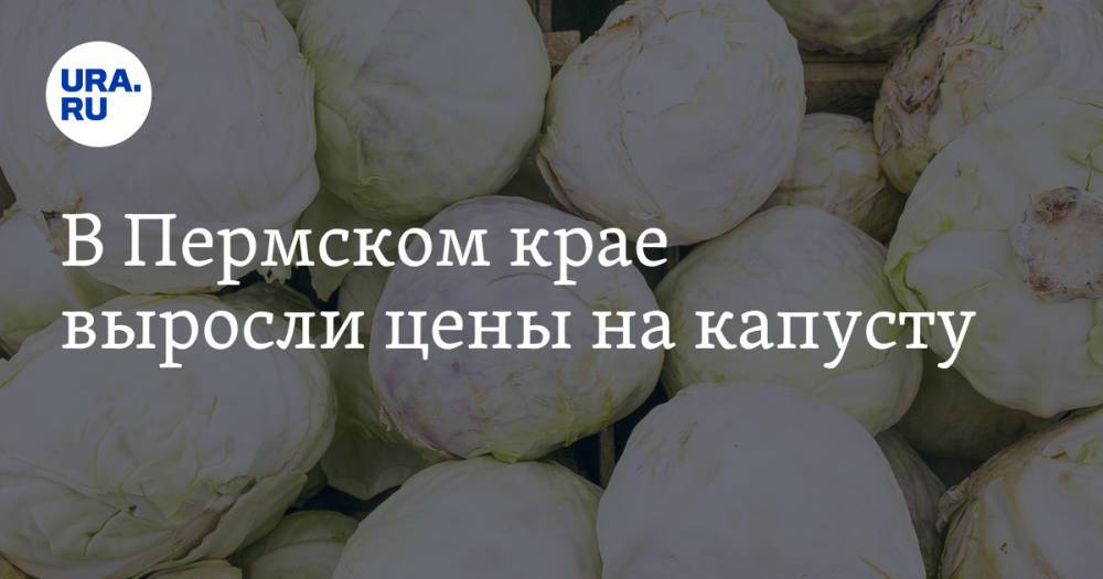 В Пермском крае выросли цены на капусту