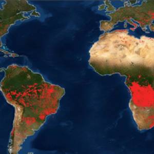 NASA опубликовало интерактивную карту пожаров на планете