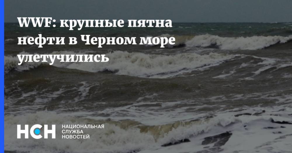 WWF: крупные пятна нефти в Черном море улетучились