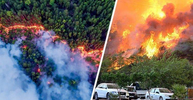 В Анталии и Мармарисе опять пожары: начались аресты