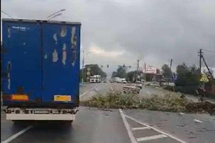 Из-за сильного ветра и грозы на трассу в Тверской области повалило деревья