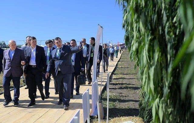 Глава Свердловской области намерен увеличить бюджет региона за счёт выращивания конопли