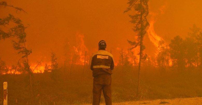 WWF России начал экстренный сбор средств на тушение пожаров в Якутии