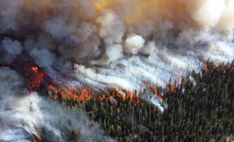 Как четыре Московских области: Площадь лесных пожаров в РФ может поставить абсолютный рекорд