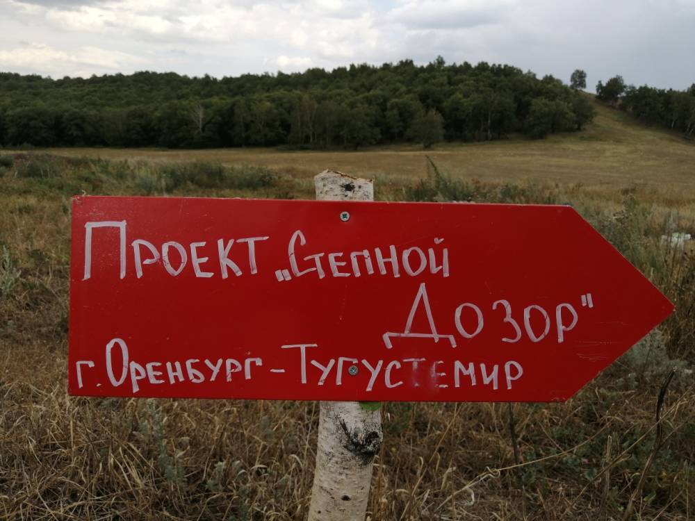 В лесах Оренбургской области устанавливают указатели для заблудившихся грибников – Учительская газета