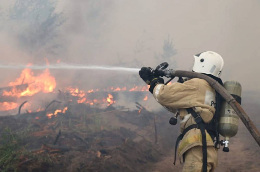 В Якутии потушены природные пожары на площади более 430 тыс. га